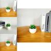 Gesimuleerde Succulent Bonsai Pot Met Lichtgewicht PVC Voor Huis Kantoor Interieurontwerp