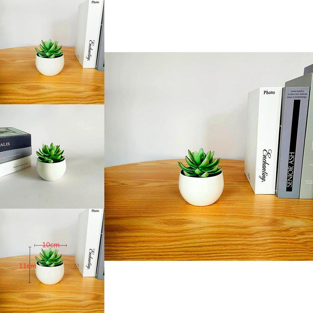 Plastic Succulent Flower Pot With Realistic Design For Home Decor And Desktop Display