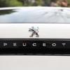 Car Front Rear Logo Emblem Stickers Steering Wheel Sticker Accessory For Peugeot 206 307 301 308 3008 207 208 407 408 2008 5008