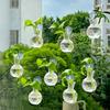 1/2/3/4/6/8Pcs Window Propagation Station Plant Propagation Glass Bulb with Suction Cup Transparent Planter Propagation Planter Terrarium Vase