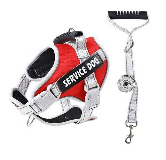 Reflektierende Atmungsaktive Hundeleine & Geschirr - Explosionsgeschütztes Design