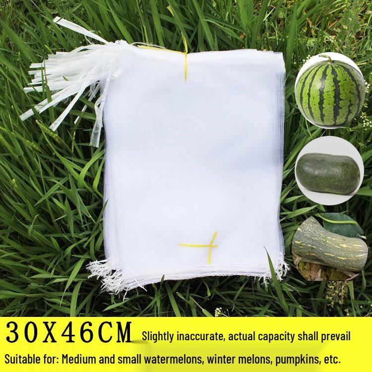 

Сетка-мешок для защиты фруктовых деревьев от насекомых и птиц для винограда, инжира, гуавы, клубники, персиков Mesh Net