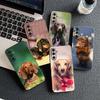 Dachshund Dog Casing Phone Cover for Samsung Galaxy A05 A06 A14 A50 A51 A52 A12 A13 A23 A70 A07 A25 A26 M53 A56 Soft Case