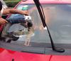 Auto Windschutzscheibe Tiefe Kratzer Entferner Ceroxid Pulver Glas Polier-Set