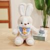 Sorry Good Night Rabbit Doll Cute Dog Doll Sleeping Doll Sleeping Plush Pillow Children's Birthday Gift Girl