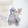 Dried Pressed Flower Handmade Decorative Artificial Flowers Dry Plant Resin Scrapbook Craft DIY Accessories Home