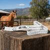 2Pcs Double Sided Scale Horse Weight Tape PVC Animal Husbandry Tool Farm Measuring Tool  Farm Use