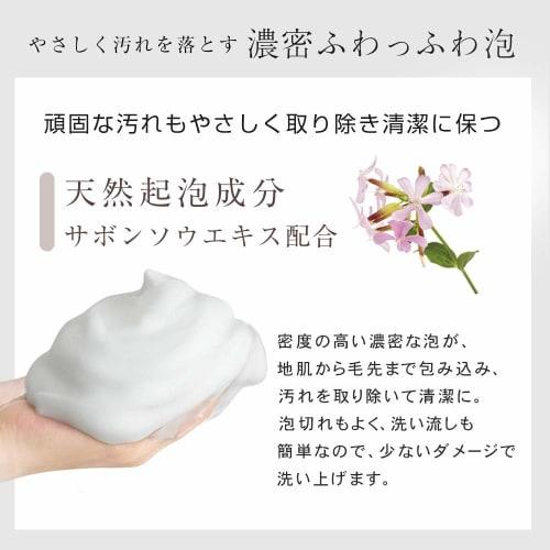 PLuS Natural Origin Moist & Repair Shampoo (500ml / Botanical) Non-Silicon Amino Acid (Made In Japan) (Shampoo)