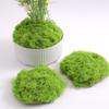 100G Artificial Moss Green Moss DIY Craft Miniature Scene Moss Mini Landscape Terrarium Preserved Plant Moss Garden Decor