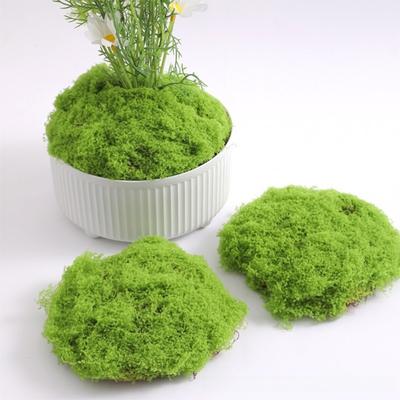 100G Künstliches Moos Grün Moos DIY Basteln Miniatur Szene Moos Mini Landschaft Terrarium Konservierte Pflanze Moos Garten Dekoration