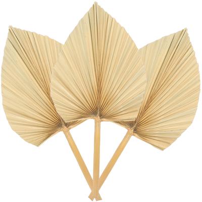 3 Pcs Wall Decoration Wedding Decorations Leaf Window Palm Dried Fan Dry Leaves Decorative Modeling Hotel Supply