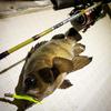 AbuGarcia Pack Rod Spinning Rockfish Aging Area Forelle (ZoomSafari) ZMSS-404UL