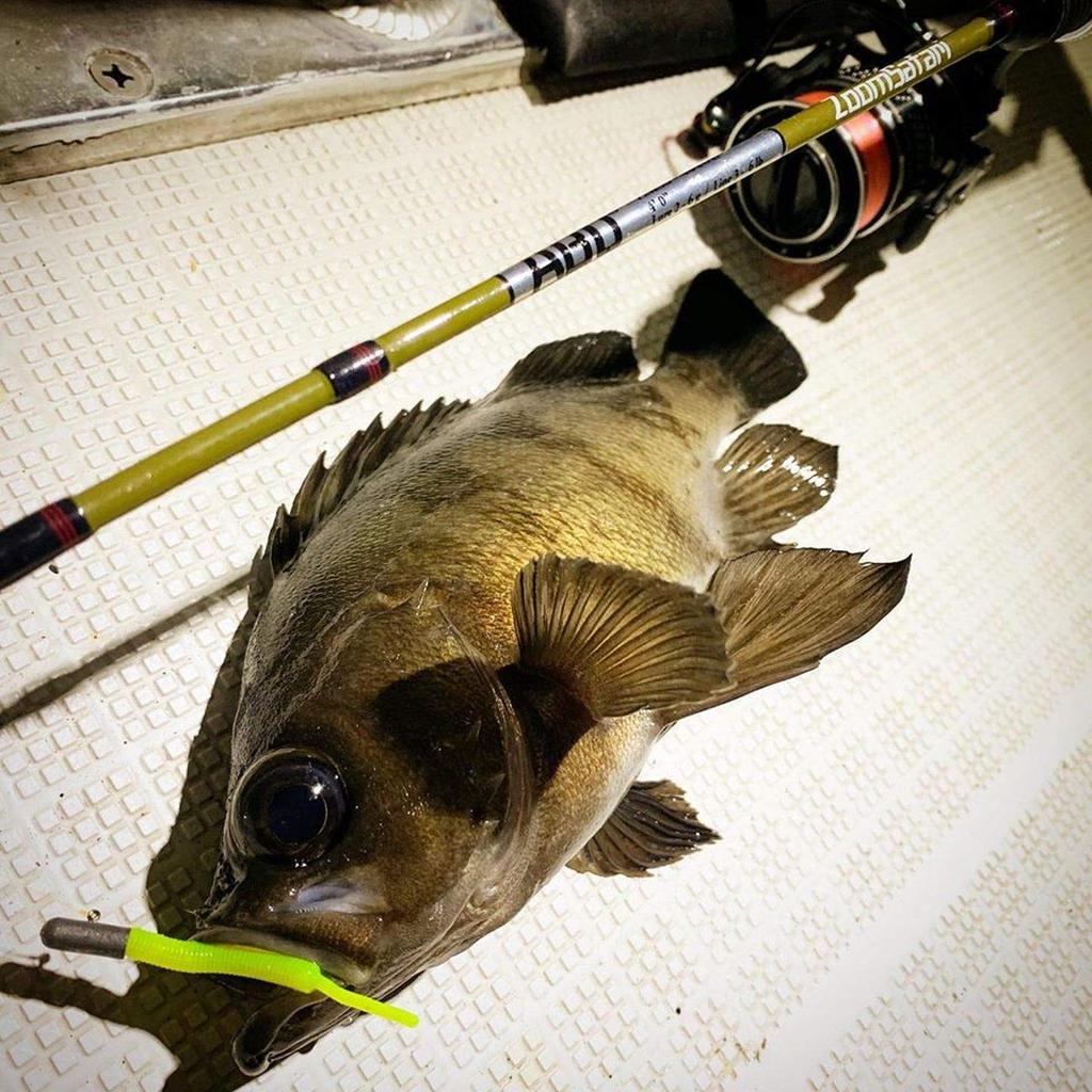 AbuGarcia Pack Rod Spinning Rockfish Aging Area Forelle (ZoomSafari) ZMSS-404UL
