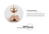 European & American Fashion Double Layer Frosted 12MM Butterfly Stainless Steel Stud Earrings