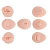 Silicone Body Practice Model Simulation Silicone Ear Eye Nose Mouth Tongue and Belly Button Model for Novice