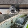 4/8pcsWeather Resistant Gutter Guard Set Versatile Aluminium Gutter Filtrs Smooth Water Drainage & Avoid Insect Breeding