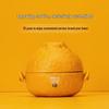 Edenus Ceramic Portable Tea Set - One Pot, One Cup