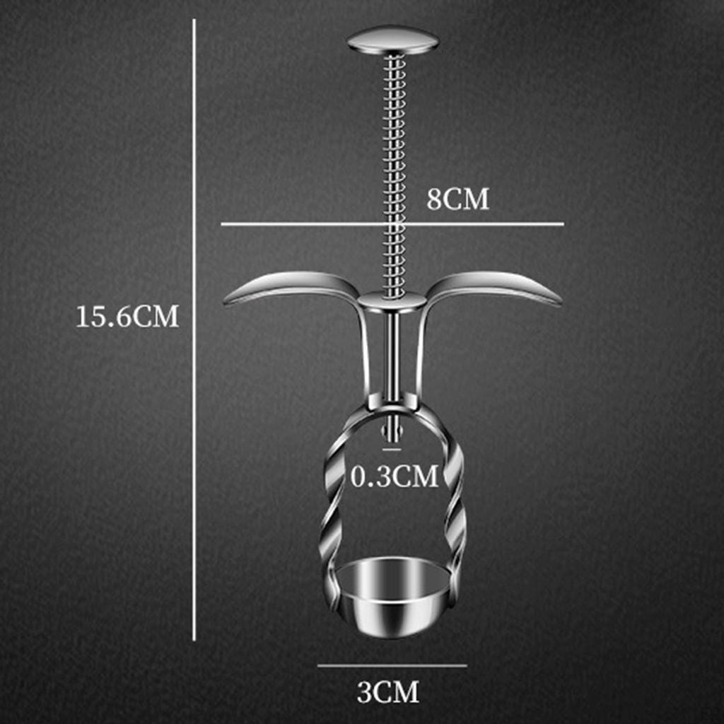 Cherry Corer Odstraňovač jader Odstraňovač pecky Kuchyňské doplňky Red Date Fruit Pitter