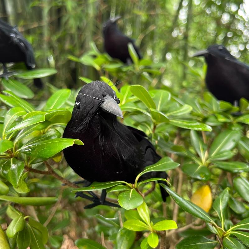 Simulated Black Crow Feathered Animal Halloween Prop Plush Crow Ghost Festival Ornament Horror Decor Crafts Fun Essential Item