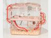 Hamster Cage Villa Escape Prevention Little Hamster House Golden Wire Bear Cage Luxury House