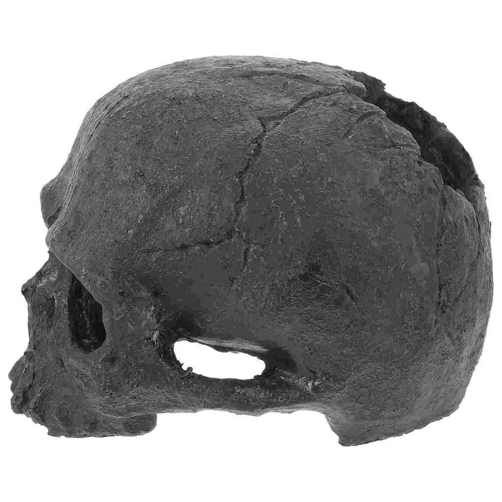 Black Skull Resin Naments Fish Tank Decorations Aquarium Decor Fake Model Pet Products Resin Head Bone Statue Fish Tank