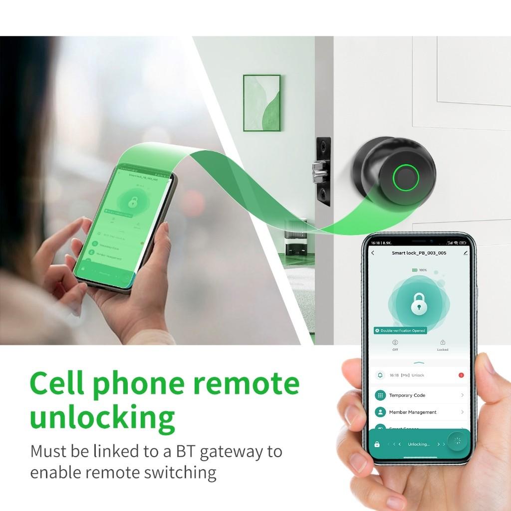 Inteligentna klamka do drzwi Zamek do drzwi na odcisk palca Inteligentny zamek Biometryczny zamek do drzwi Klamka do drzwi na odcisk palca z aplikacją TUYA do domu, sypialni