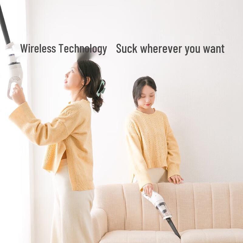 Electric Pet Hair Vacuum Cleaner CN plug (adapter included)