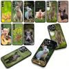 for Motorola Moto Edge 70 60 Fusion 40 NEO 20 Pro G Stylus G56 G96 G71 G73 G52 G41 G42 G50 G51 Phone Case Rabbit Wild Boar Pig