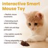 Realistic Mouse Toy for Indoor Cat Scratch Squeaky Sound Cat Toy Pull&Back Moving Realistic Mouse Shape Toy for Indoor