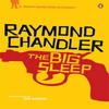 The Big Sleep by Raymond Chandler Paperback Book 9780241956281