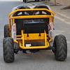 New 800W Electric All-Terrain Two-Seater Kids & Adult Beach Buggy Kart ATV/UTV