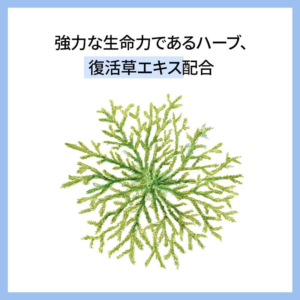 Numero 10 Essence 75ml Numero 10 Essence 75ml Korean Cosmetics Essence Ampoule Serum Moisturizing Dry Skin Sensitive Skin Hypoallergenic Care Skin