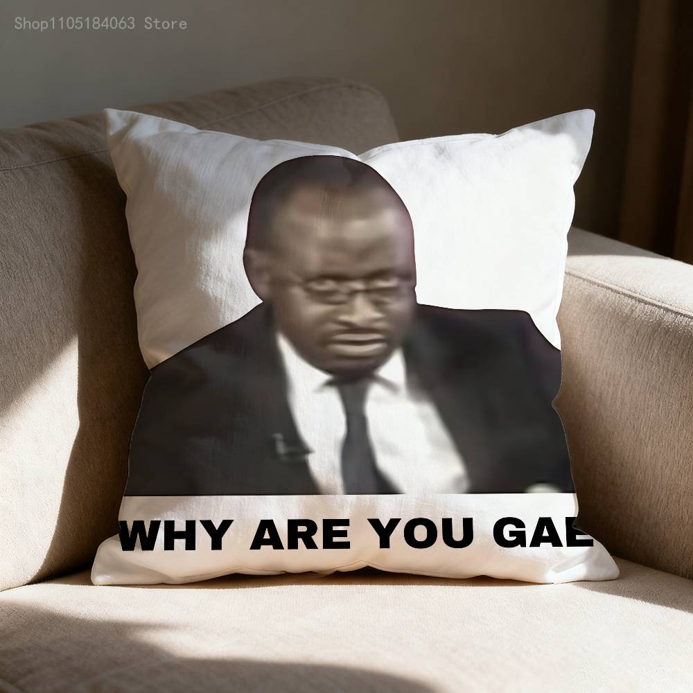 Why Are You Gae Meme UUganda Pillow Case Print Polyester Fiber X cm Home Sofa Throw Cushion Cover Decoration