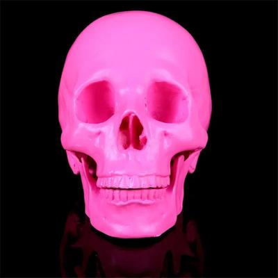 Harz Bastel Schädel Statuen zur Dekoration Kreatives Schädel Modell Skulptur Heimdekoration Halloween Party Dekoration Horror Requisiten
