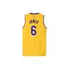Nike Lakers James 6 Retro Sports Kids Basketball Jersey Kids jersey Yellow 3Z2B7BU1P-LAK06
