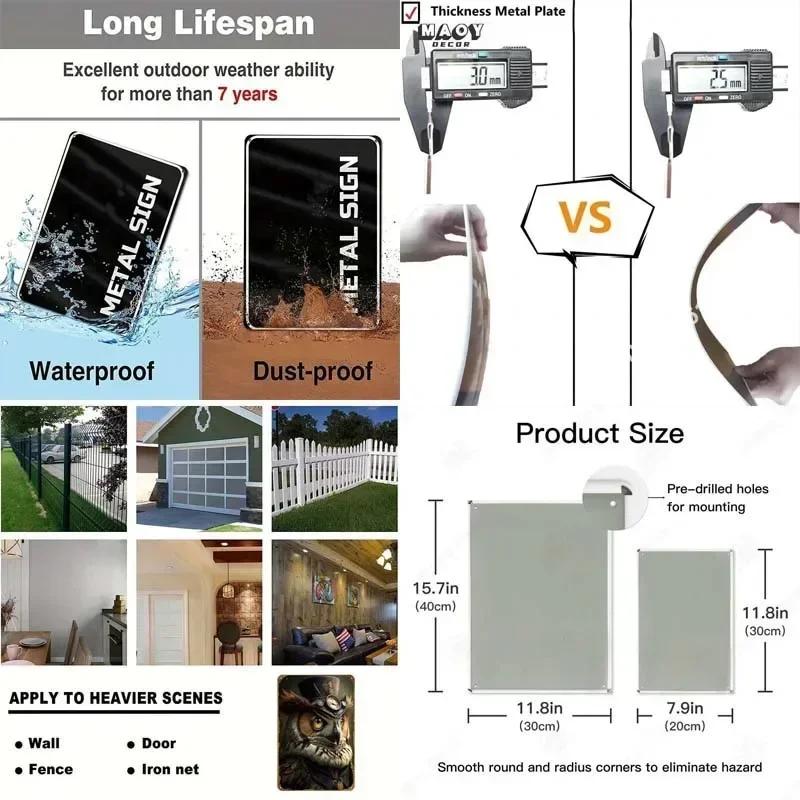 Bayley Alexa Bliss Metal Signs Wrestler Posters Room Decor Items Aesthetic Decoration Living Room Vintage Metal Plate Wall Art