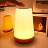 13 Zmieniająca Kolor Lampka Nocna Pilot Dotykowy Ładowana USB RGB Lampka Nocna Ściemniana Lampa Przenośna Lampka Stołowa Nocna
