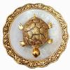 Brass, Glass Feng Shui Tortoise On Plate Showpiece 13.97 Cm