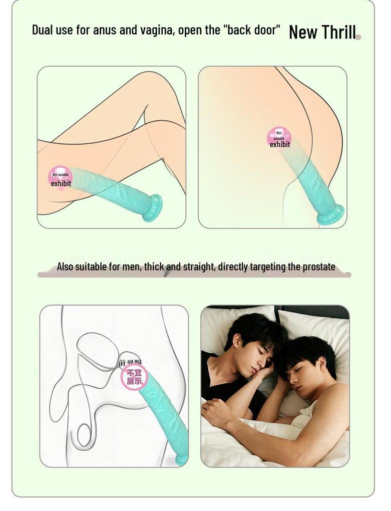 Realistic Silicone Dildo with Suction Cup: Unisex Adult Masturbator