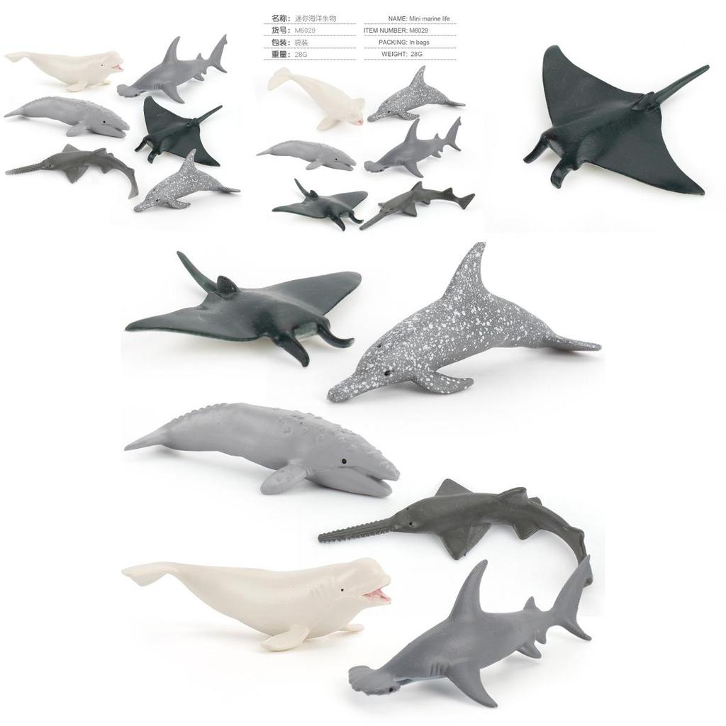 Realistisches Miniatur Delfin Teufelsrochen Beluga Wal Walhai Modell Ozeantier Spielzeug Sammlung