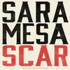 Scar by Sara Mesa Paperback Book 9781628975734