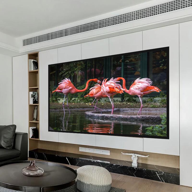 Pantalla de Proyección para Cine en Casa con Marco Fijo HD Anti-Luz
