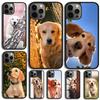 Golden Retriever Friend Phone Case For iPhone 17 Air 13 12 14 15 16 Cover For Apple Pro Max Plus Coque