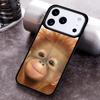 Orangutan Monkey Primates Animal Phone Case for iPhone 17 16 15 Pro Max Air 14 13 12 11 Plus Shockproof Capa Cover