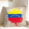Aesthetic Art Venezuela Pillow Case Soft Pillow Cover Fashion Pillowcases For Sofa Couch Bed Living Room