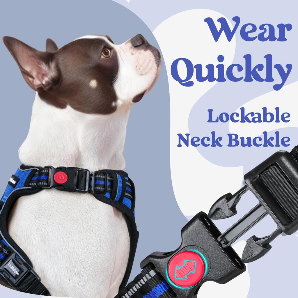 Model Dog rabbitgoo Dog Harness for Dogs Adjustable No Head Reflective Material for Nighttime Secure Cough Walking Senior Dog Care Easy to Put On and