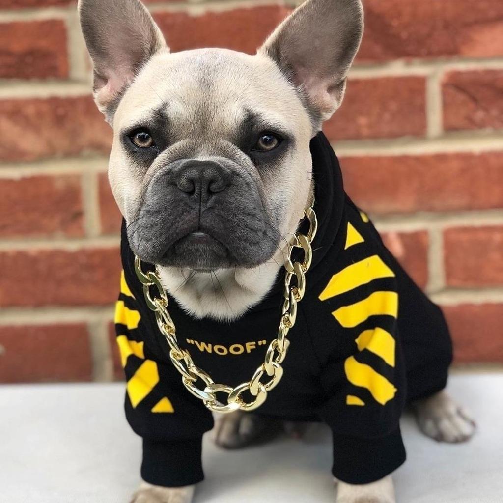 Trendy Corgi Schnauzer French Bulldog Hoodie: Autumn/Winter Sporty Pet Apparel