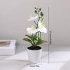 Bonsai Artificial Butterfly Orchid Silk Flower Potted Fake Plants For Home Garden Decoration Office Room Table Ornaments Wedding