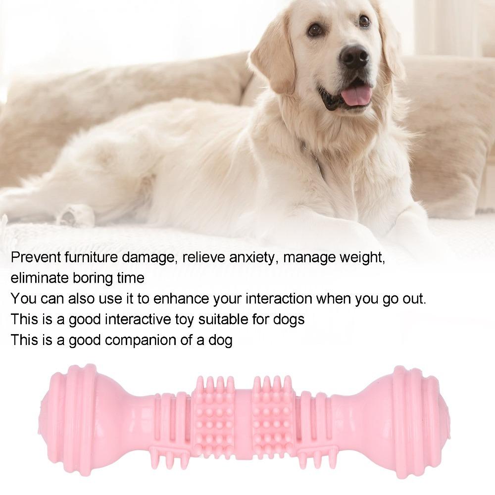 TPR Made Dog Molar Stick Bite Tough Puppy Teeth Cleaning Toy Interactive Dog Toy  Oral Care