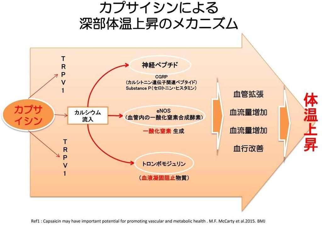 Back pain relief Large type 4 sheets x 11 set Directly applied new sensation heating sheet for back pain and stiff shoulders device [Medical